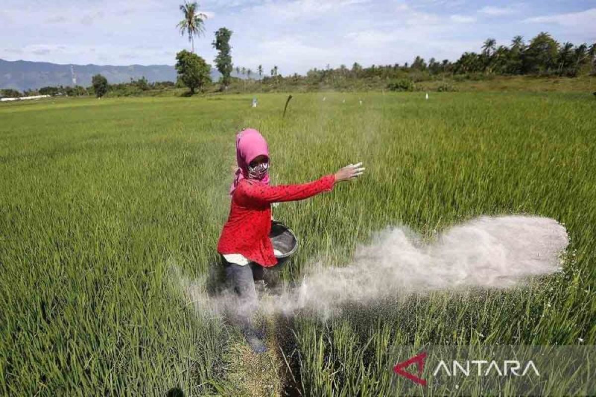 ANTARA News