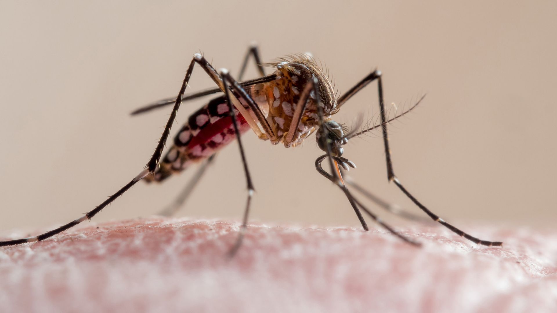 Live Science