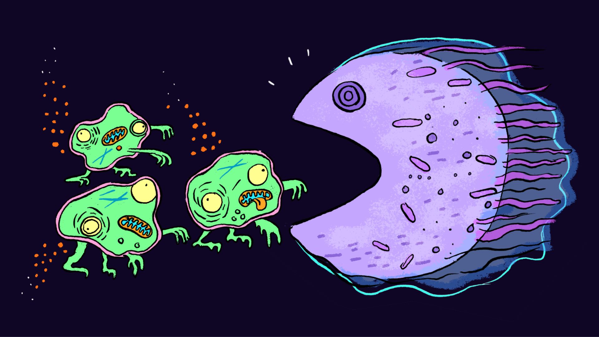 Live Science