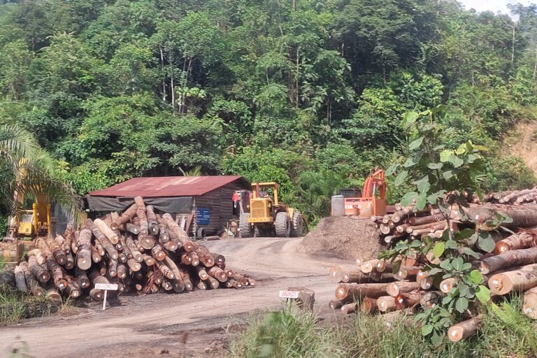 Mongabay