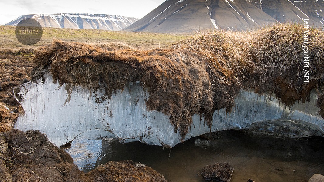 Nature News