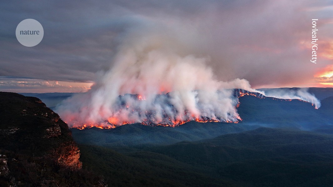 Nature News