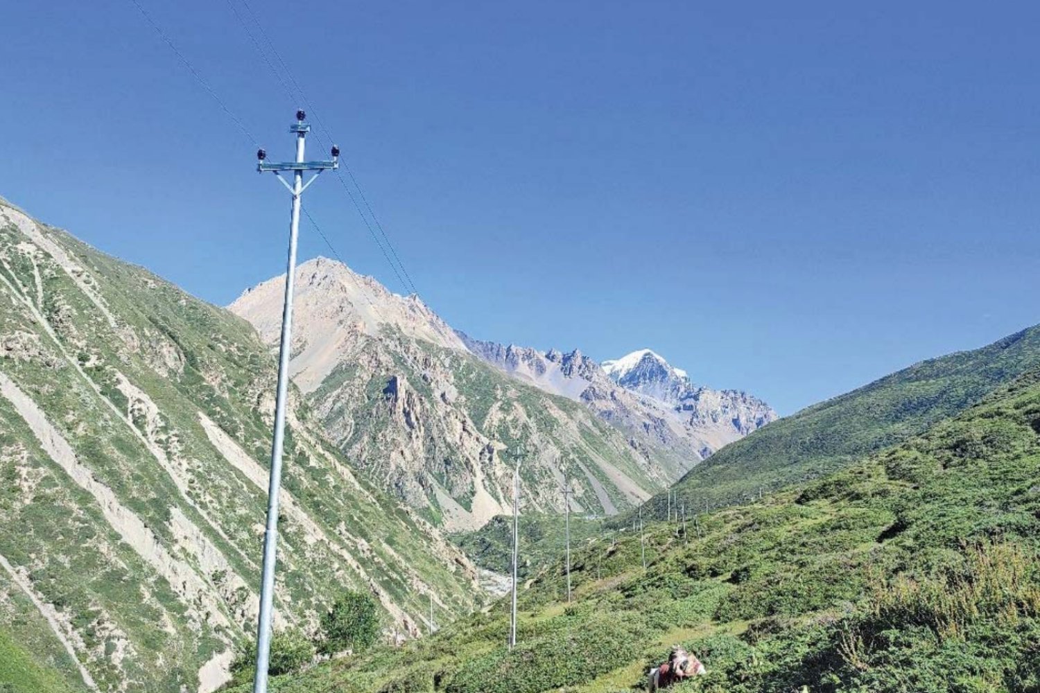 Nepali Times